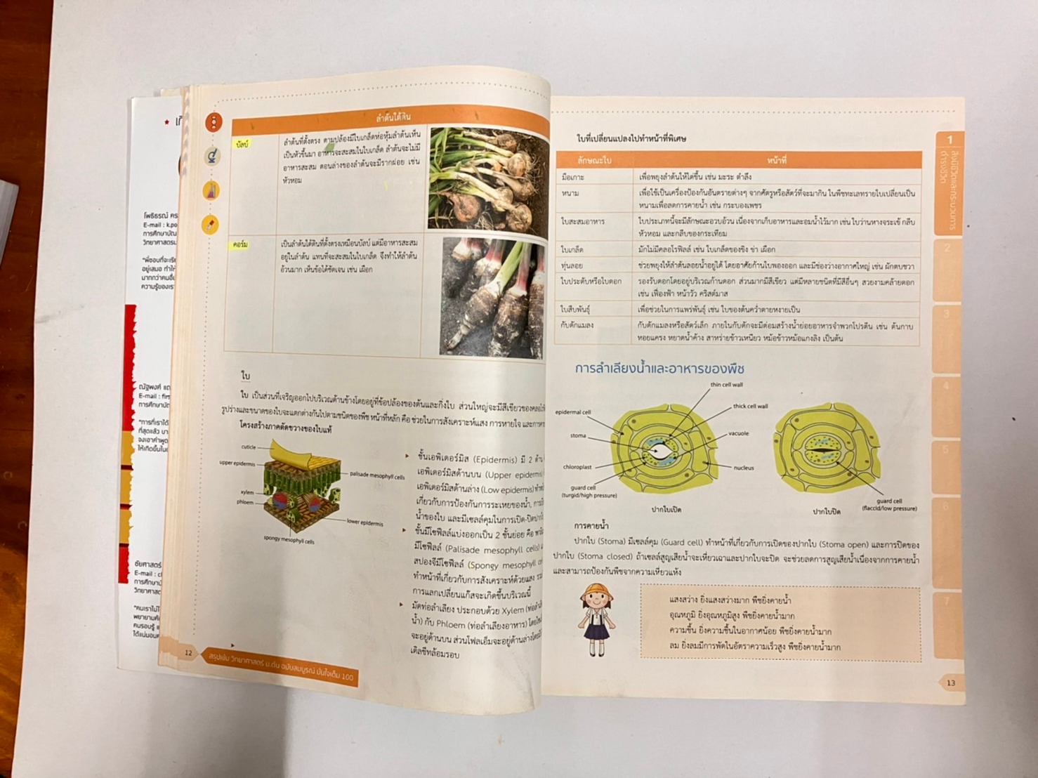 สรุปเข้ม วิทยาศาสตร์ ม.ต้น ฉบับสมบรูณ์ มั่นใจเต็ม 100 หนังสือมือสอง