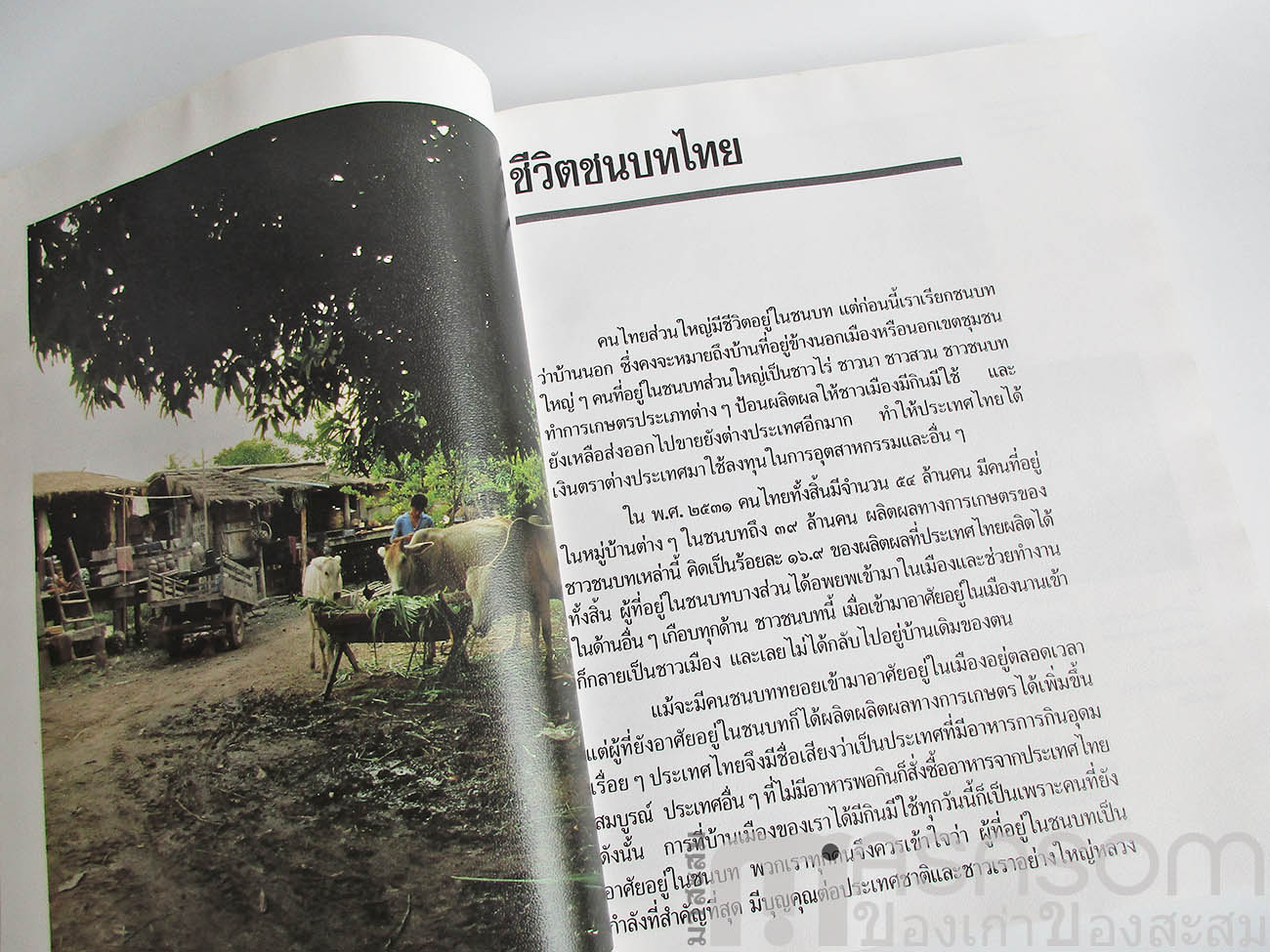 สารานุกรมไทยสำหรับเยาวชน เล่ม 16