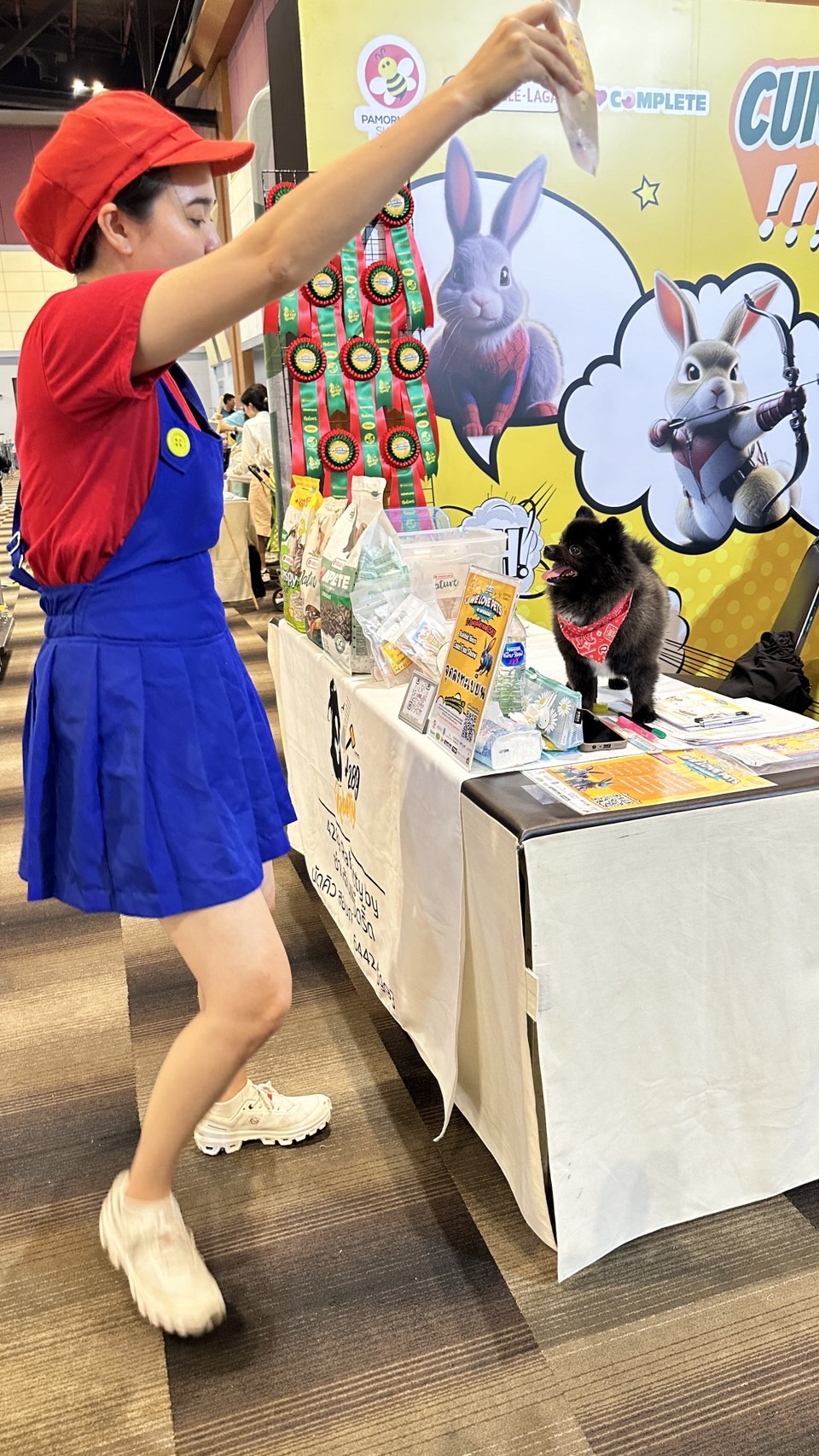 ชุดเห็ดคิโนพิโอ้ @ super mario