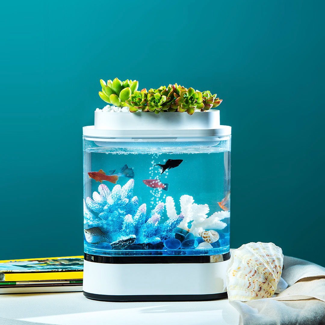 Huafajihe Mini Lazy Pro ตู้ปลาจำลองระบบนิเวศน์ในน้ำพร้อมไฟ LED หลากสี