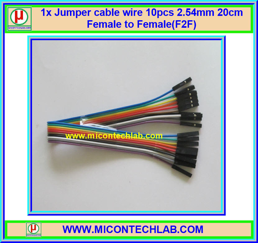 1x จั๊มเปอร์ปลายเมียเมีย (F2F) 10 เส้น 20 ซม. (Jumper)