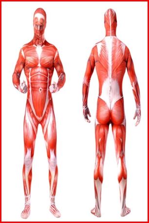 ชุดไททัน @ Attack on Titan