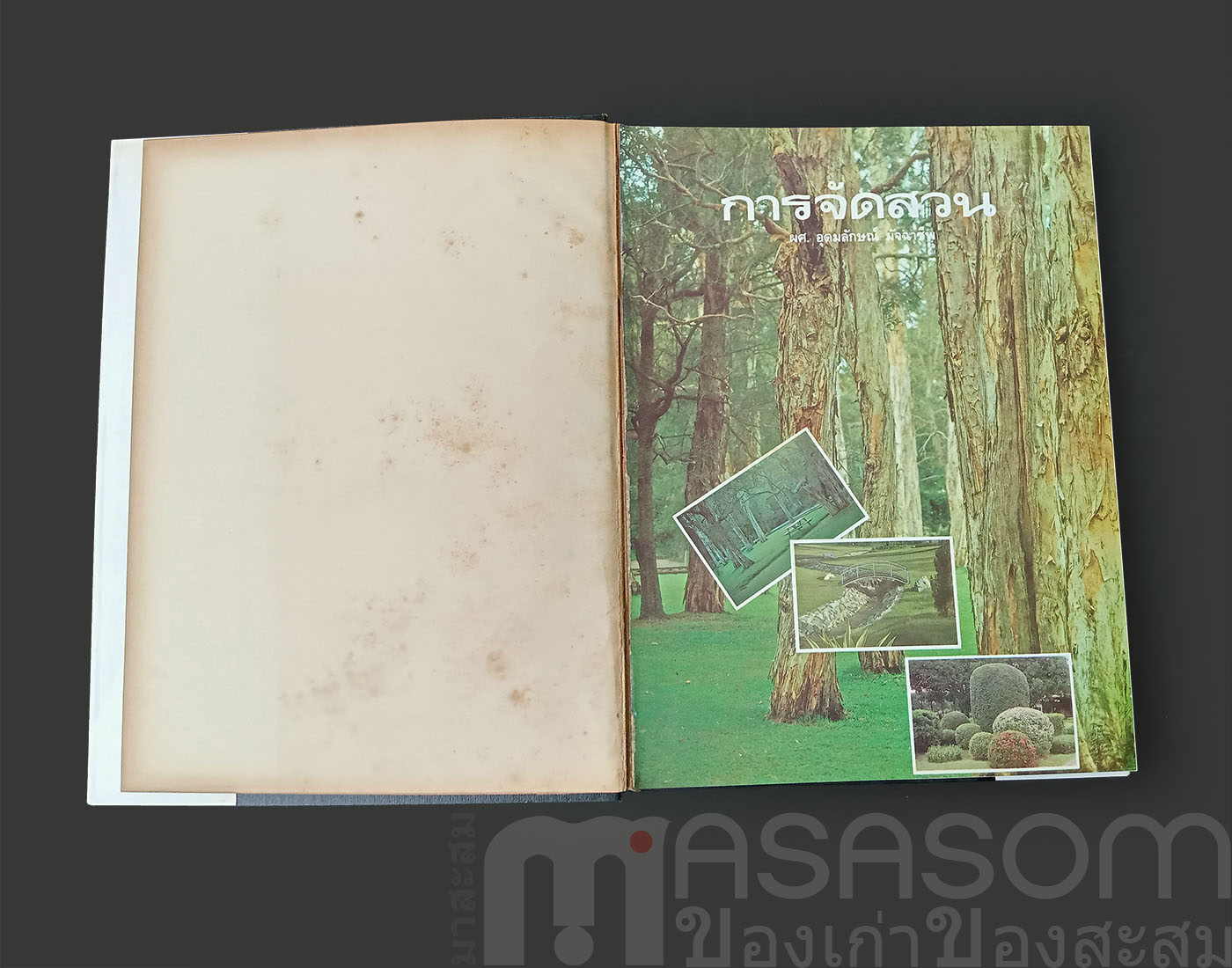 หนังสือการจัดสวน