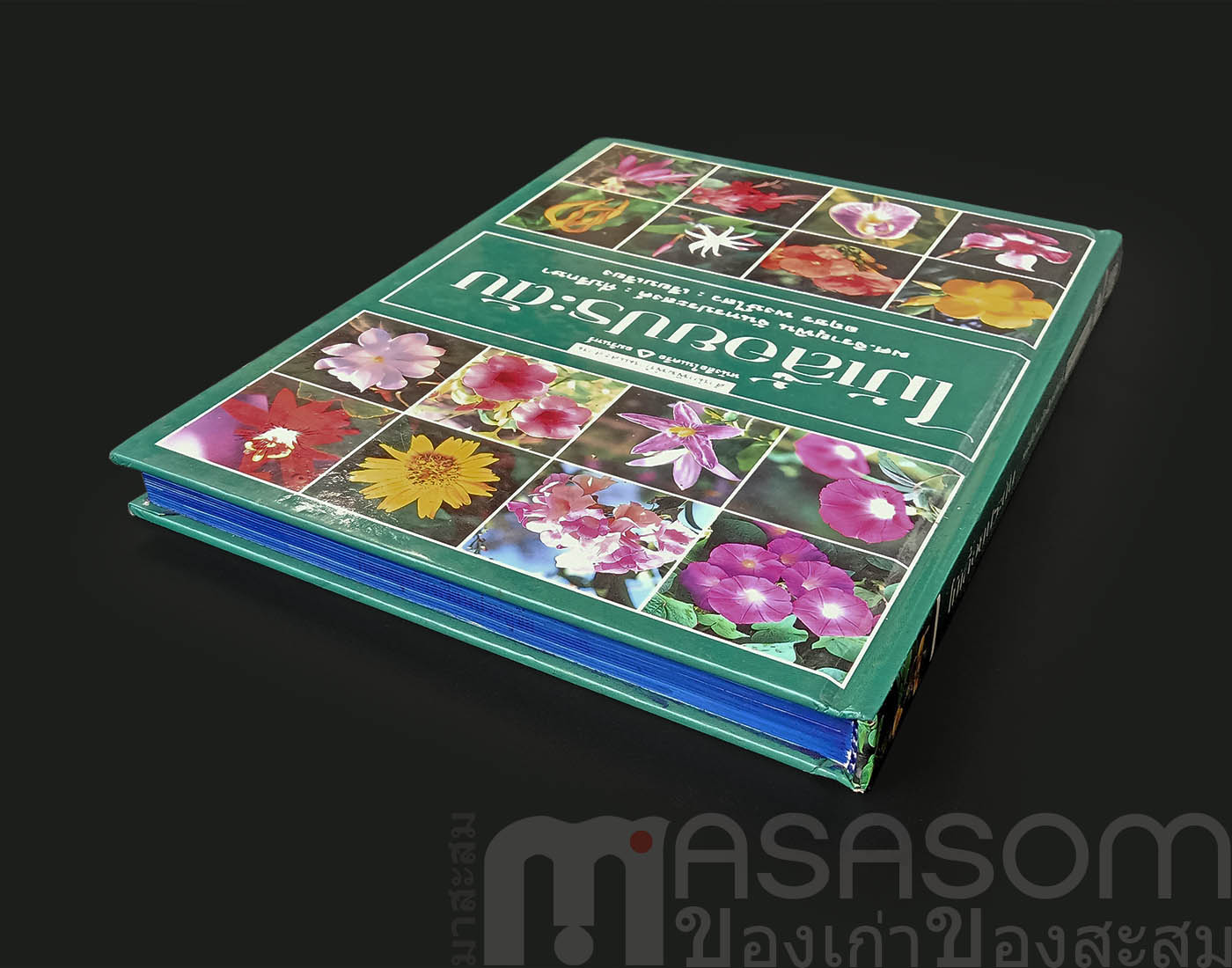 หนังสือไม้เลื้อยประดับ