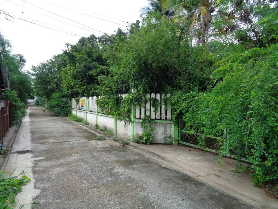 🚩H1273 ขายที่ดินทำเลดี ย่านธุรกิจ 4 -1 -68 ไร่ ติดถนนท่ามะนาว ใกล้ที่ว่าการอำเภอชัยบาดาล จังหวัดลพบุรี