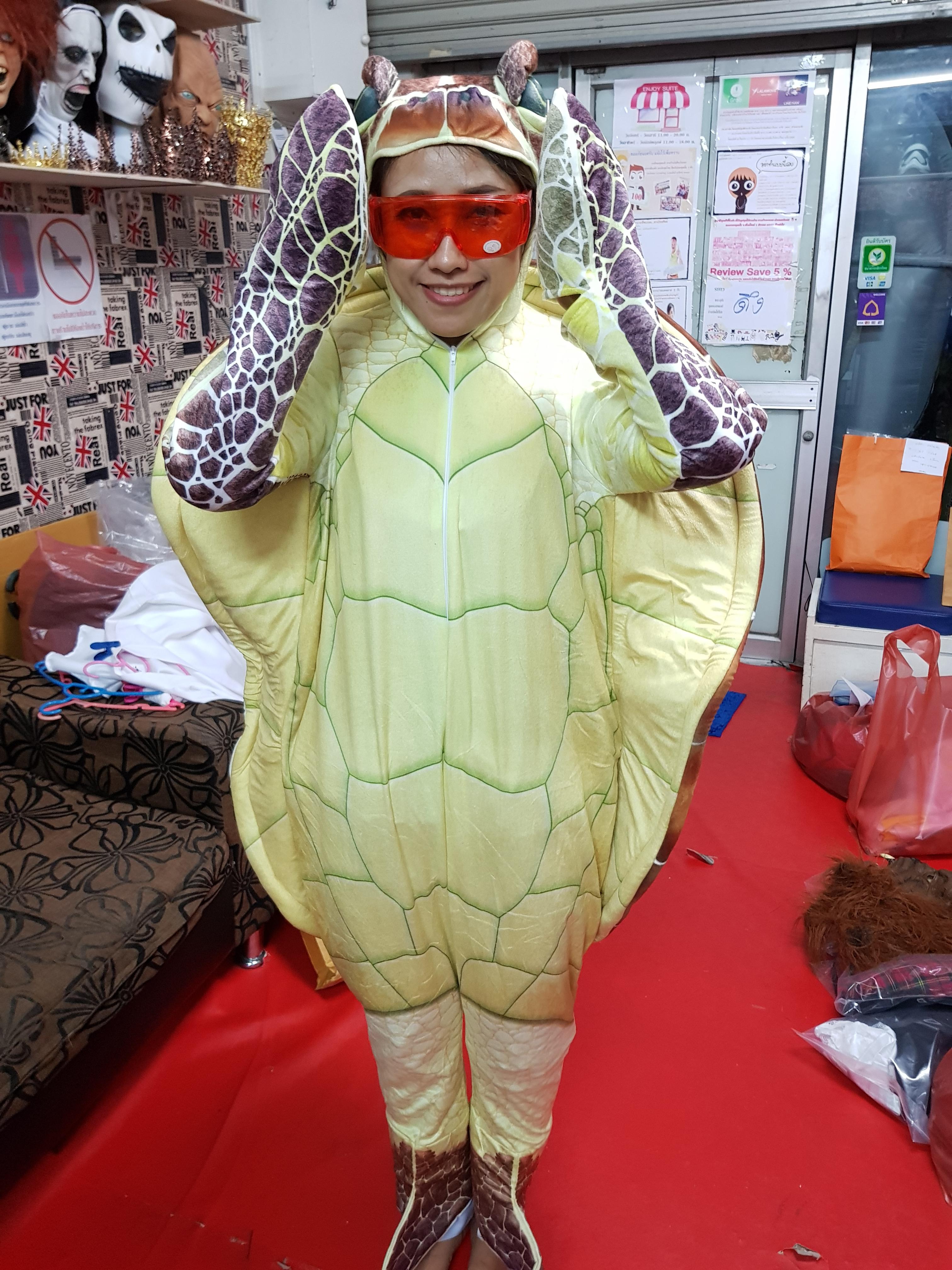 ชุดเต่าตนุ