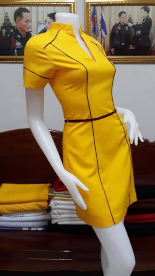 ชุดแอร์โฮสเตรส / ชุดอาชีพในฝัน