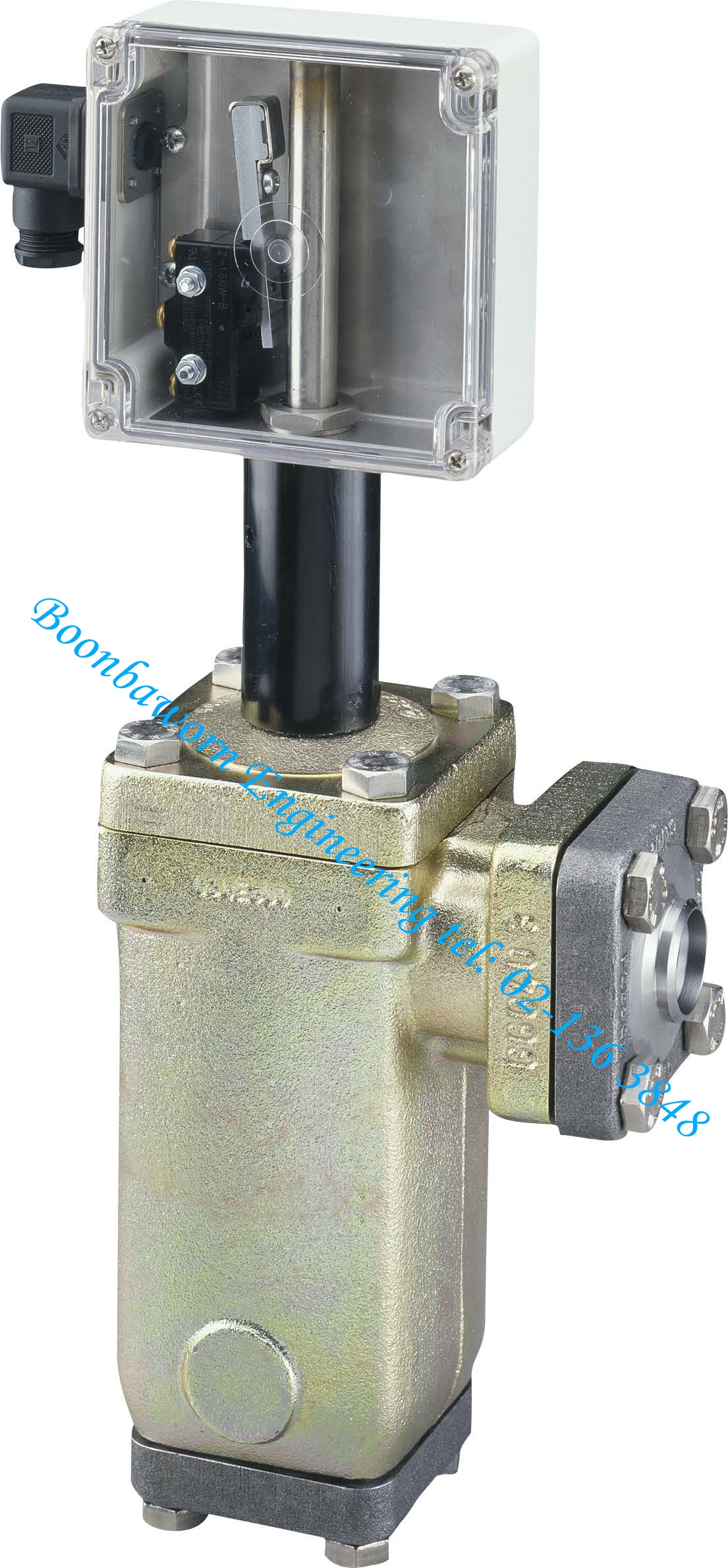 Float Switch aks38