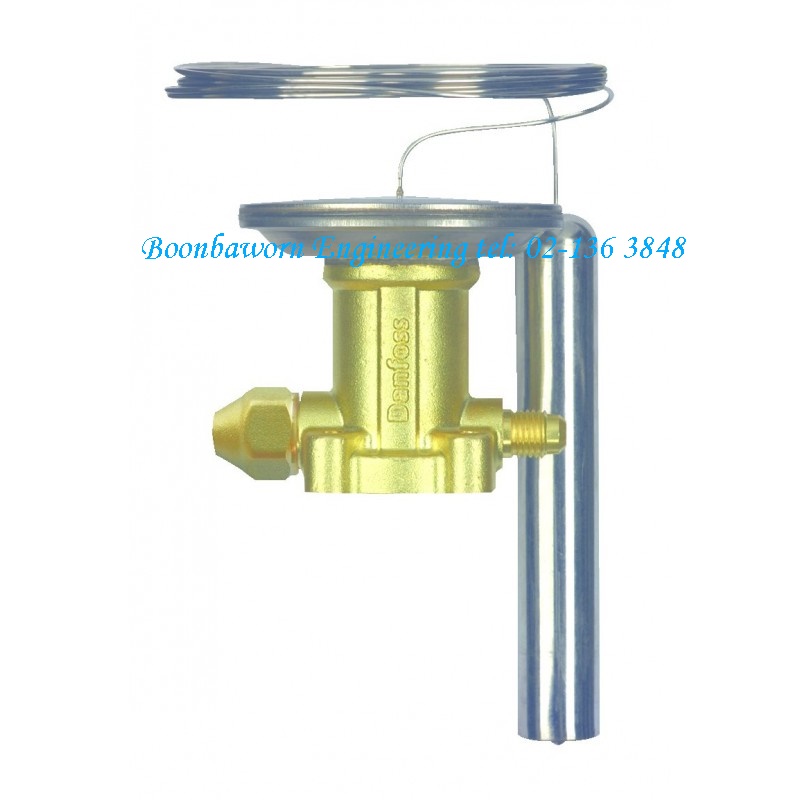 THERMOSTATIC ELEMENT TEN .R134A