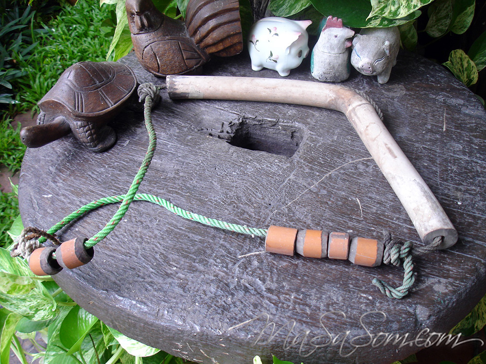 ทามผูกคอวัว