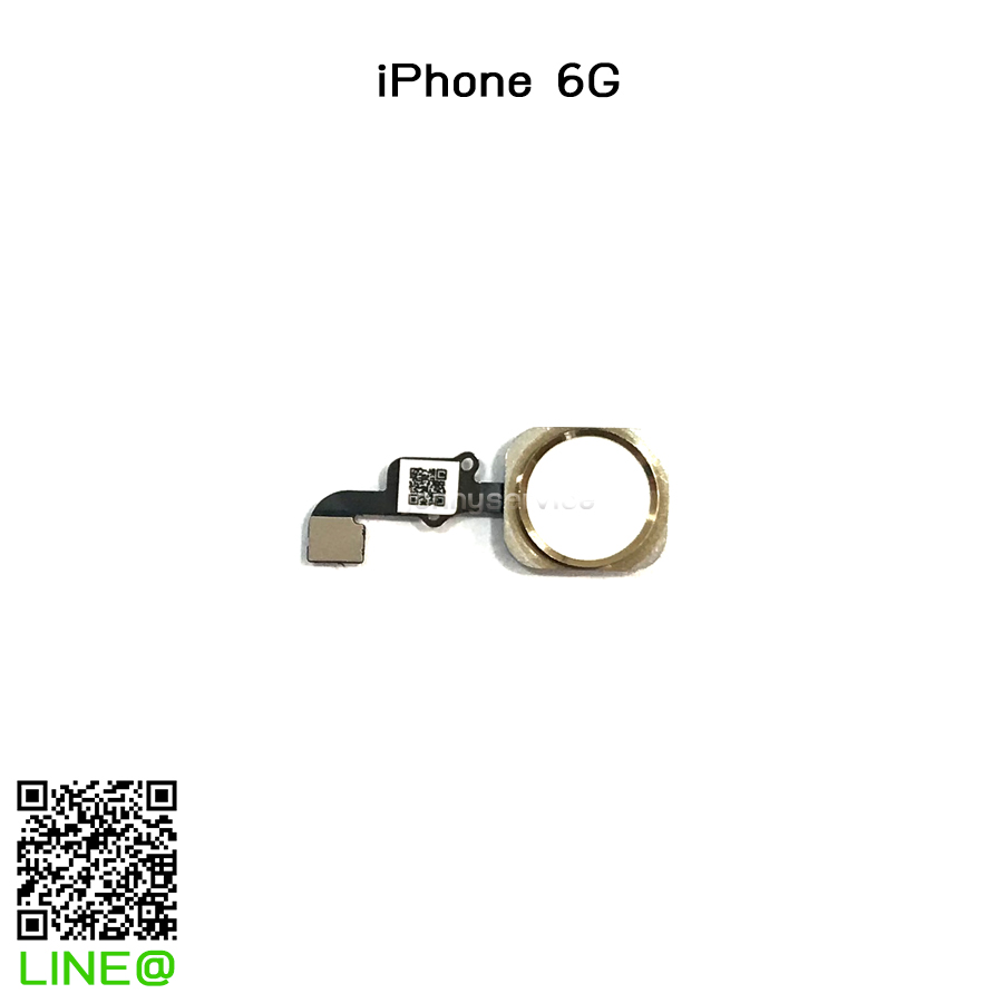 แพรปุ่มโฮม iPhone 6