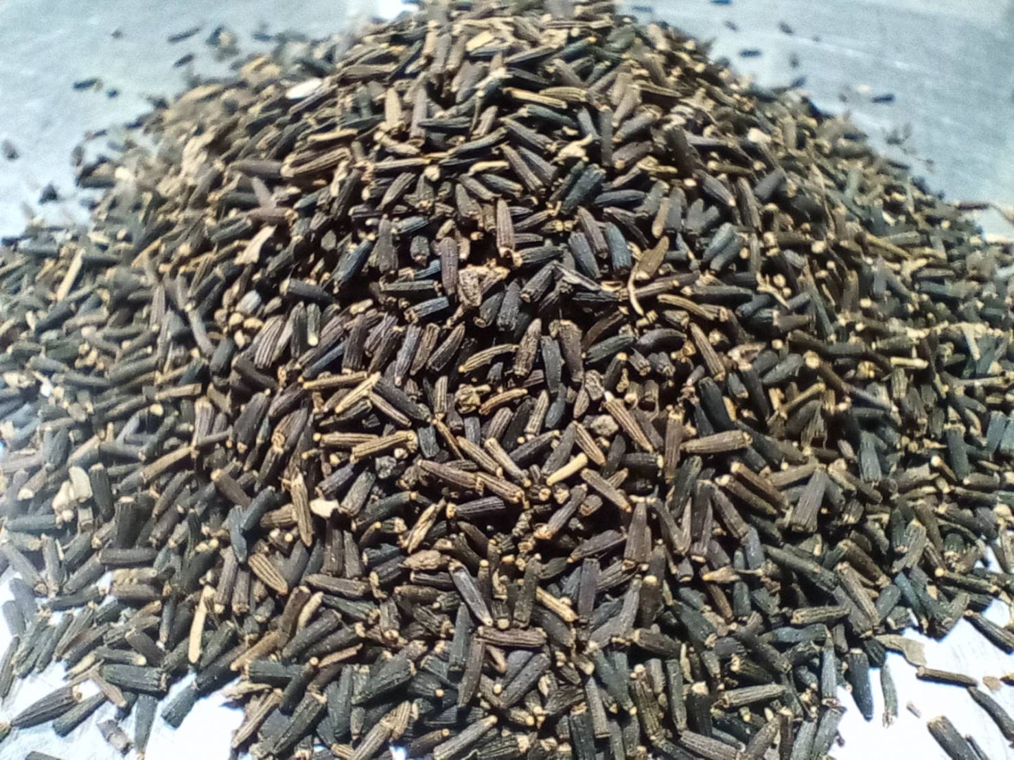เทียนลวด Bitter Fennel