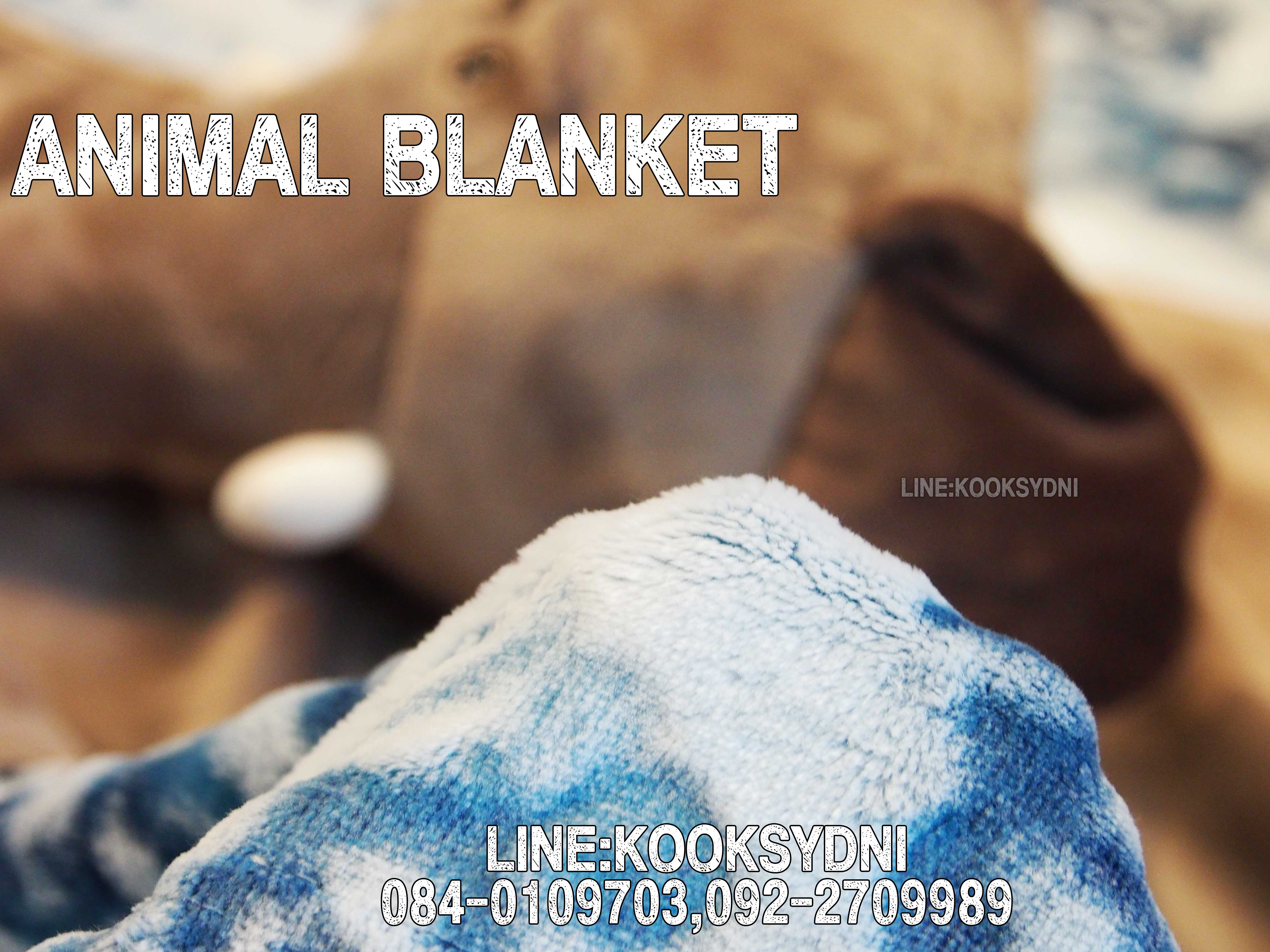 ANIMAL BLANKET ช้างช้างช้าง