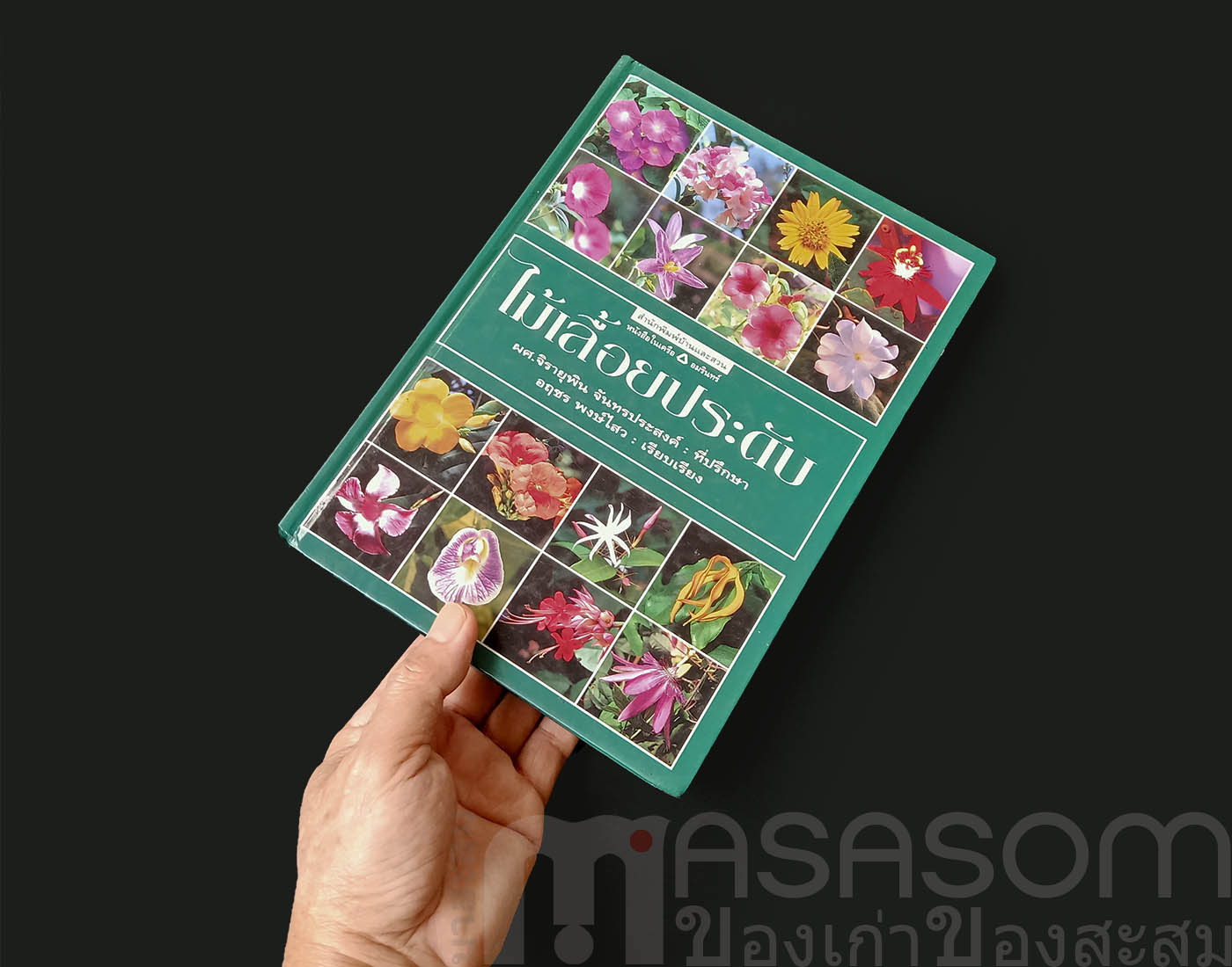 หนังสือไม้เลื้อยประดับ