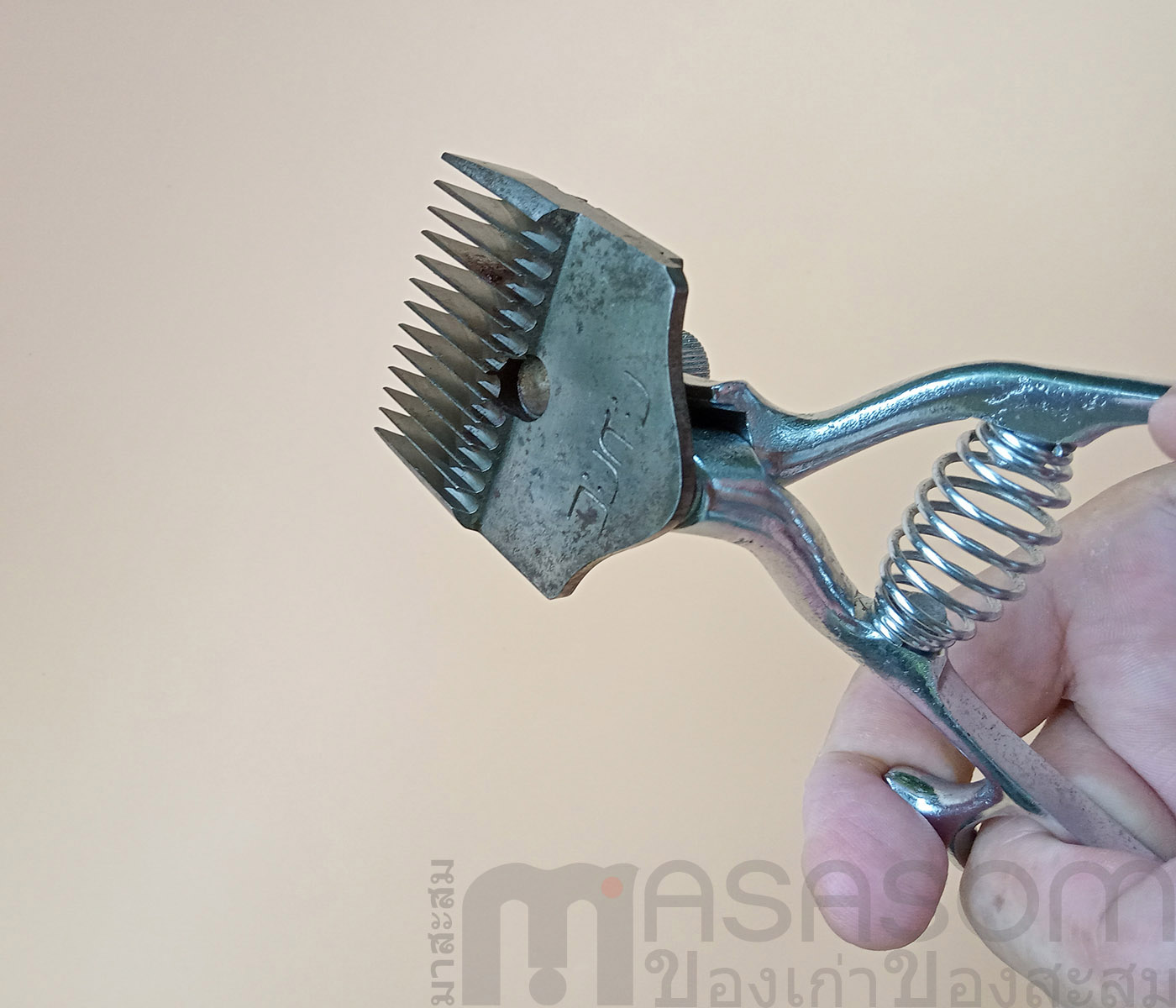 ปัตตาเลี่ยนมือเยอรมันใหญ่