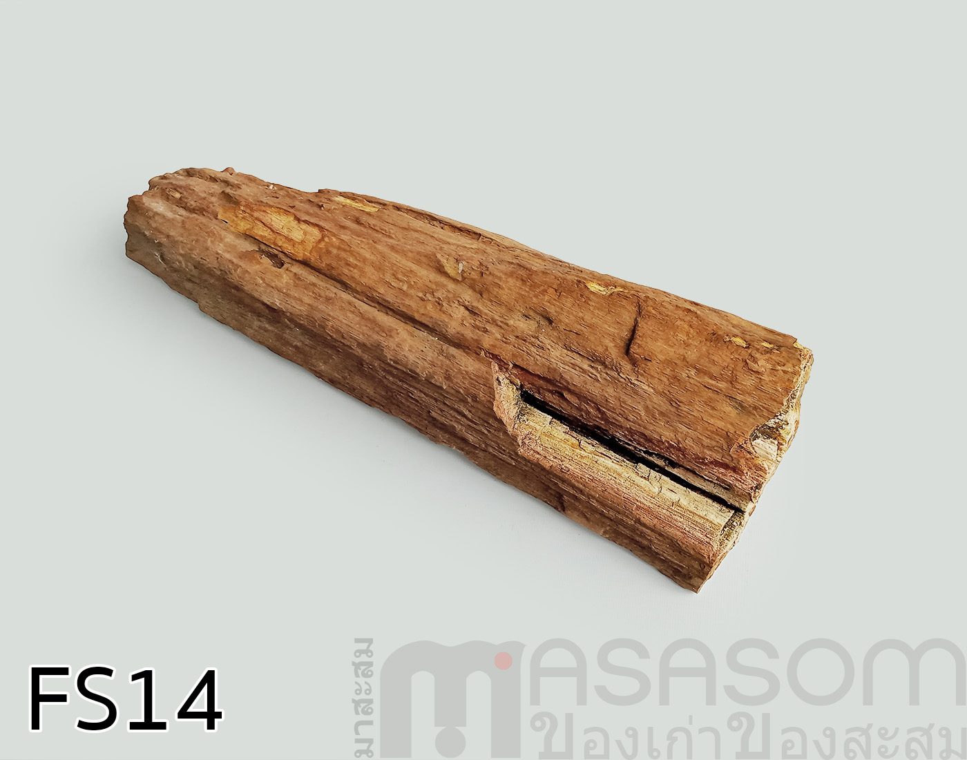 ฟอสซิลไม้กลายเป็นหิน(Petrified Wood)