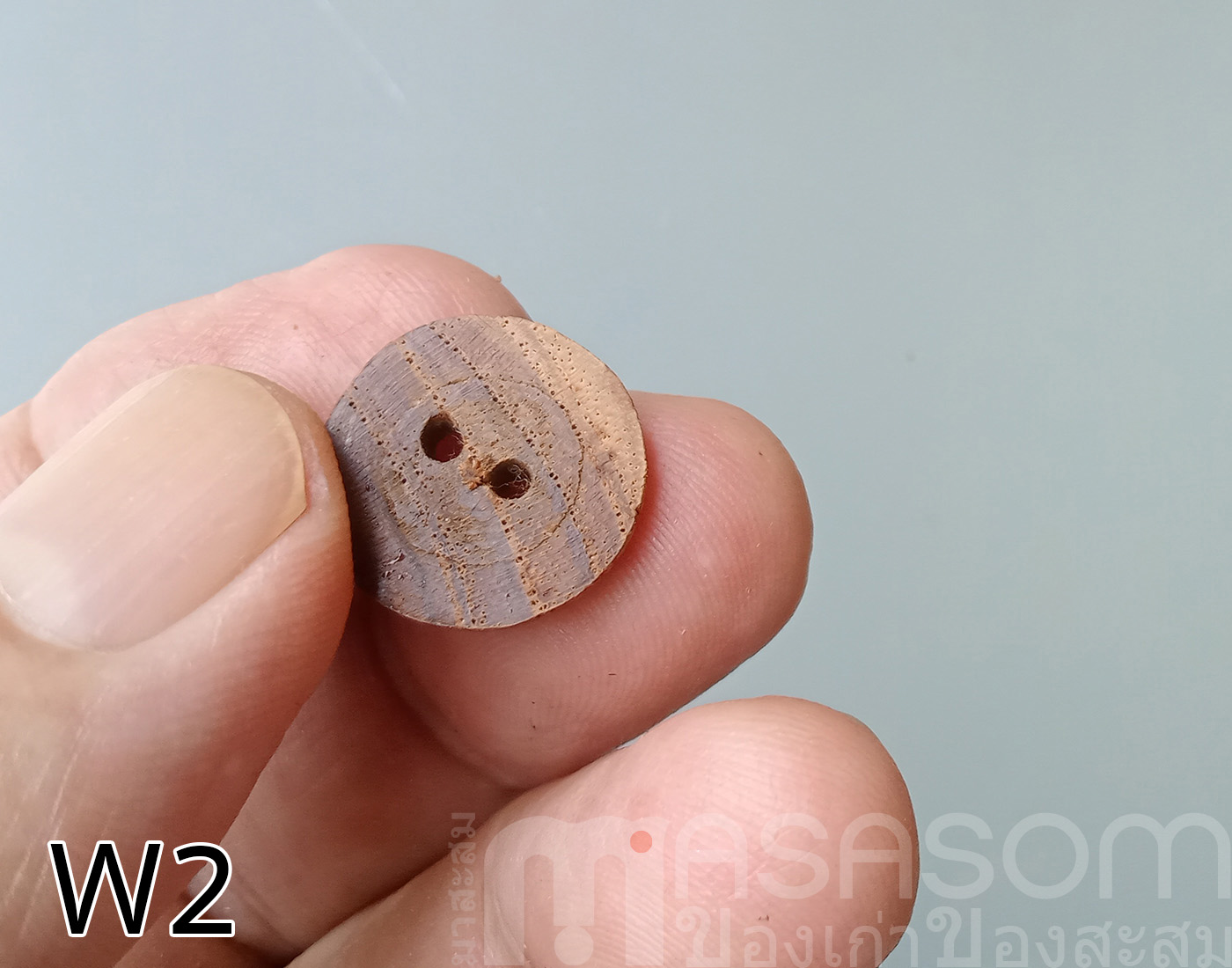 กระดุมไม้สัก