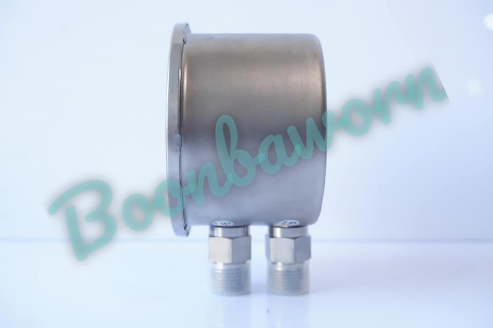 TEMPRESS Differential Pressure gauge DN80/100