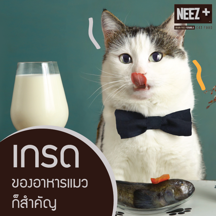 NEEZ+อาหารแมว นีซพลัส เกรนฟรี พรีเมี่ยมสำหรับน้องแมว 🐥สูตรแมวใหญ่ 1 กิโล 250.- เหมาะกับแมวโต อายุ 4 เดือน-12 ปี (ฟรีส่ง)