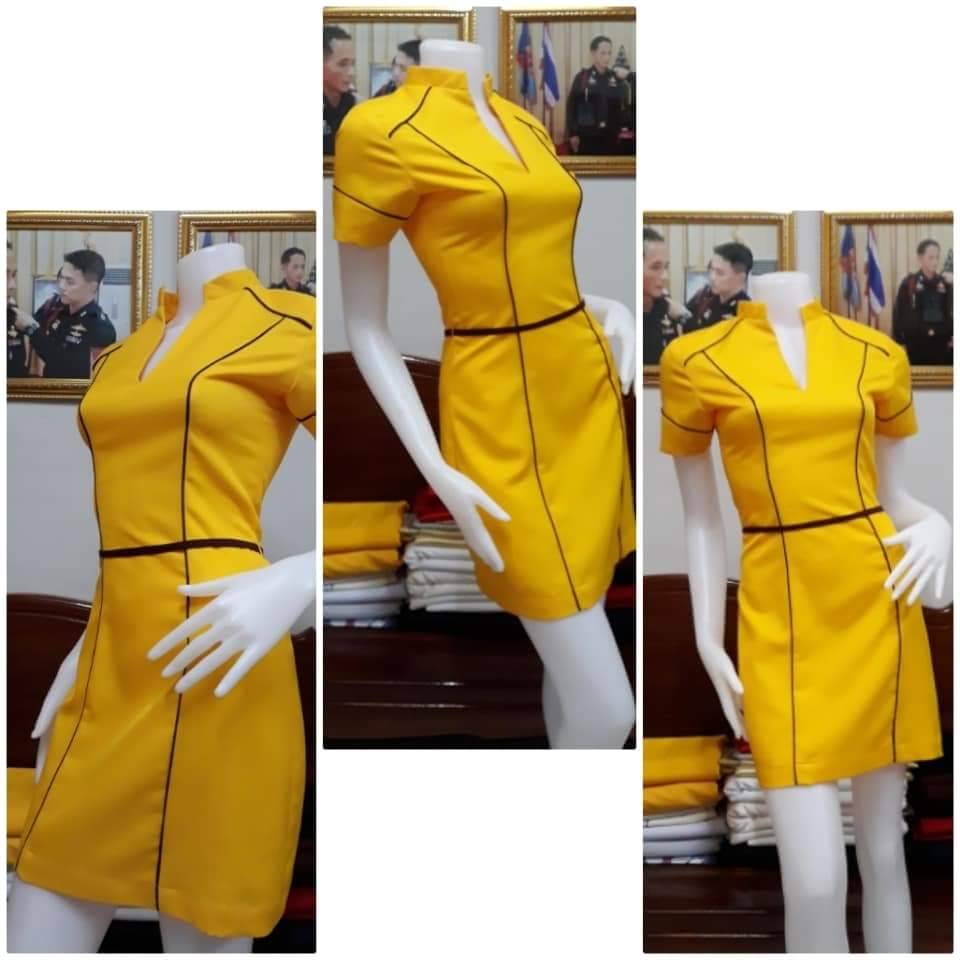 ชุดแอร์โฮสเตรส / ชุดอาชีพในฝัน