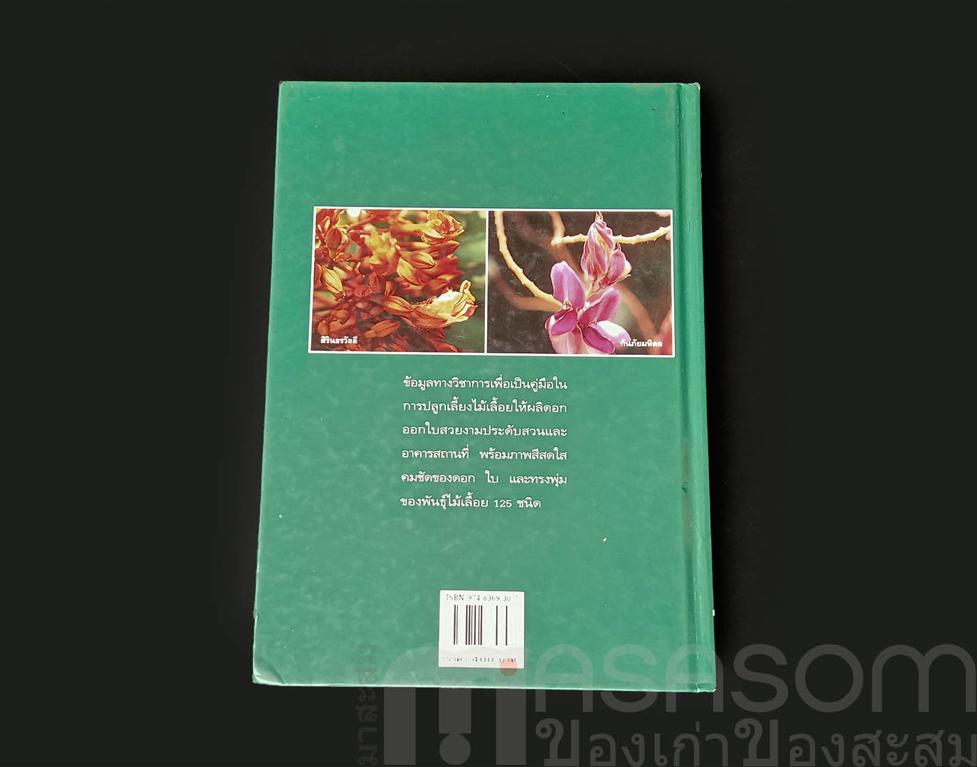 หนังสือไม้เลื้อยประดับ