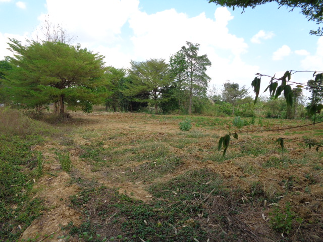 H1189 ขายที่ดิน ภบท.5 4-1-96 ไร่ อยู่ติดถนนสายสระแก้ว–เขาหินซ้อน ปากทางเข้าวัดนาคาบารมีธรรม ก่อนถึงแยกวังท่าช้าง2.6 กม.