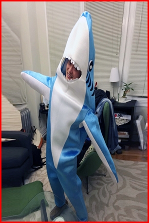 ชุดปลาฉลาม