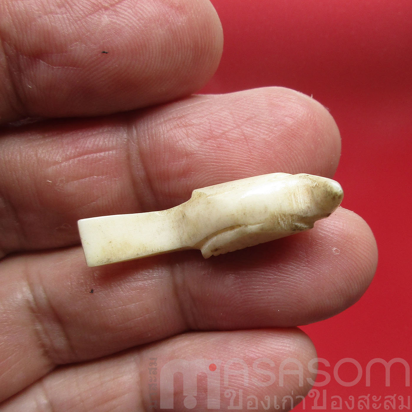 สาลิกาลิ้นทอง