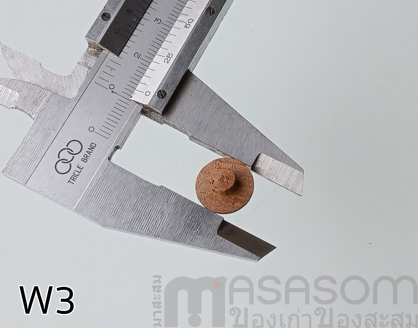 กระดุมไม้สักรูปเห็ด