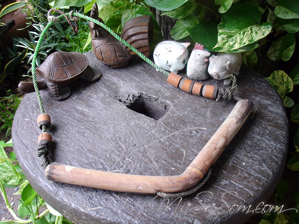 ทามผูกคอวัว