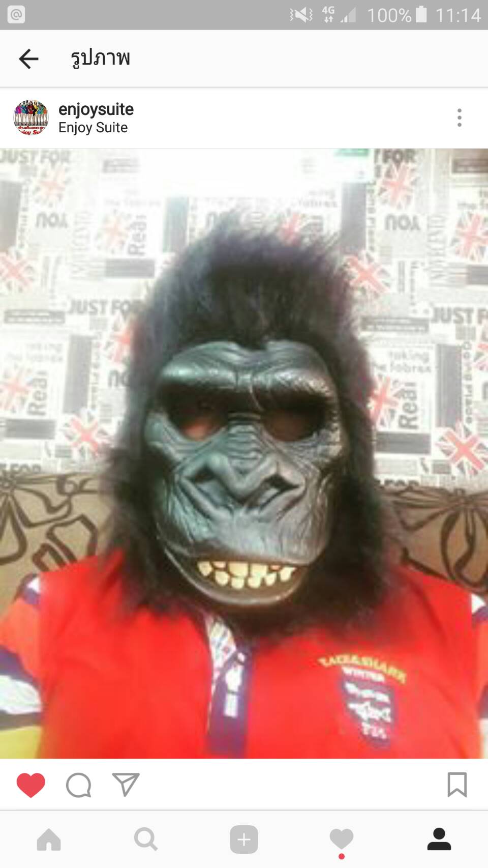 ชุดคิงคอง / ชุดลิง / ชุดกอริลลา