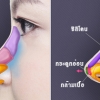 ลักษณะเฉพาะของการเสริมจมูกแบบใช้กระดูกอ่อนหลังใบหู