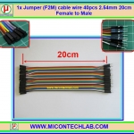 1x จั๊มเปอร์ปลายผู้เมีย (F2M) 40 เส้น 20 ซม. (Jumper)