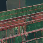 🚩H1235 ขายที่ดินเปล่า 108 ตารางวา ถนนรังสิต-นครนายก คลอง13 ใกล้วัดพิชิตปิตยาราม ตำบลหนองสามวัง อำเภอหนองเสือ ปทุมธานี ราคาประเมิน 270,000 บาท ขายเพียง 150,000 บาท ฟรีค่าโอน