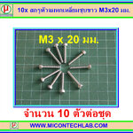 10x สกรูหัวจมหกเหลี่ยมชุบขาว M3x20 มม.