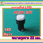 1x หลอดไฟสัญญาณ LED สีขาว AC/DC 24V ขนาด 22 มม.