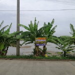 H1168 ขายที่ดินเปล่า5-0-6 ไร่ อยู่ถนนทางหลวงชนบท นนทบุรี3086 เลียบคลองโต๊ะใหม่ ต.บางคูรัด อ.บางบัวทอง นนทบุรี ห่างถนนวัดลาดปลาดุก2.4 กม.