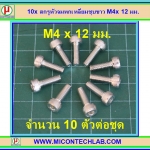 10x สกรูหัวจมหกเหลี่ยมชุบขาว M4x12 มม.
