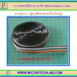 1x สายแพสีรุ้งแบบ 10 เส้น พิทซ์ 1.27 มม. ยาว 1 ฟุต (Ribbon Rainbow Cable)