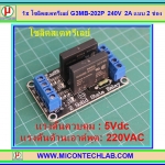 1x โซลิดสเตทรีเลย์ G3MB-202P 240V 2A แบบ 2 ช่อง