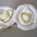 ดอกไม้จันทน์ ดอกเดี่ยว สีครีมล้วน แพคละ 100 ชิ้น