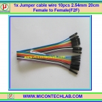 1x จั๊มเปอร์ปลายเมียเมีย (F2F) 10 เส้น 20 ซม. (Jumper)