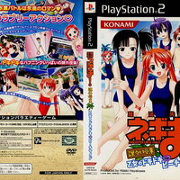 NEGIMA!? KAGAI JUGYOU Otome No Dokidoki Beachside [JP : DVD5 1 Disc ใส่กล่อง]