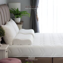 ที่นอน รุ่นACACIA