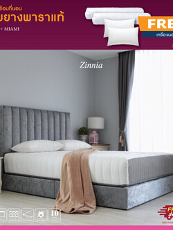 ชุดเตียงพร้อมที่นอนเสริมยางพาราแท้ PLENO x MIAMI