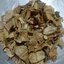 เหงือกปลาหมอ (ทะเล)