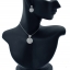 ต่างหูพร้อมจี้ ( เงิน ) = Earring with Pendant ( Silver )