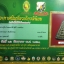 ขุนแผนพรายกุมาร พิมพ์พรายคู่ หลวงปู่ทิม อิสริโก วัดละหารไร่ จ.ระยอง ดีกรีที่1 งานใหญ่ พร้อมเลี่ยมทอง