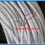 1x สาย LAN 8 เส้นใน ยาว 1 เมตรต่อเซต CAT-5 AWG24 LAN Internet