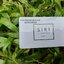 บัตรคีย์การ์ด HID แบบบาง0.8 mm